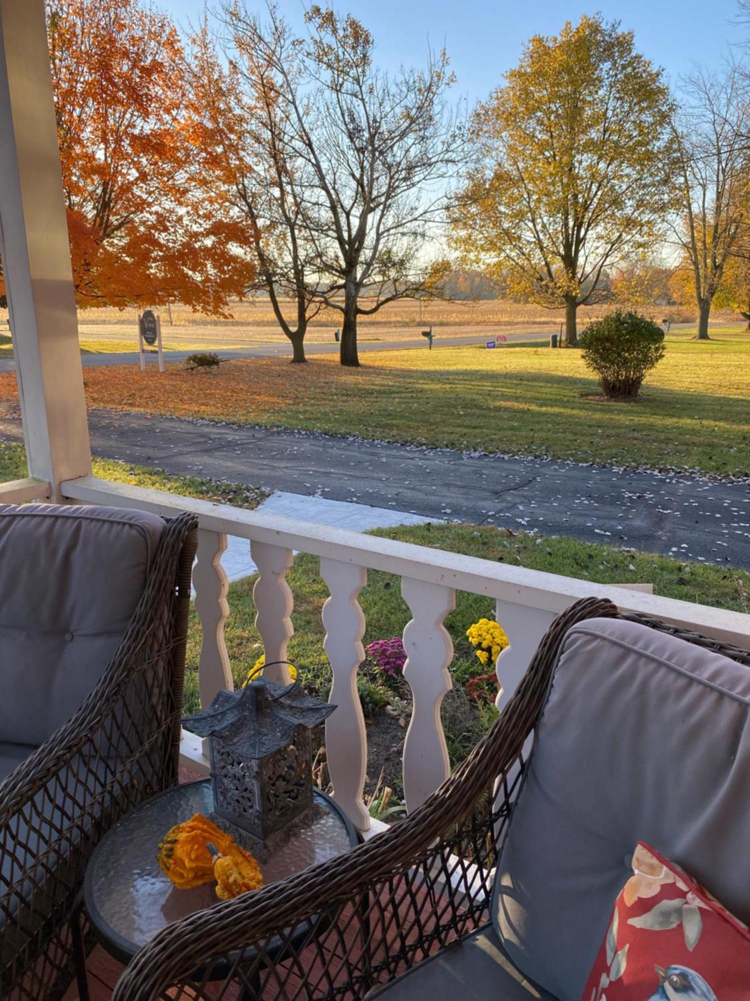 The Vine Bed & Breakfast, Llc Dundee Exterior foto